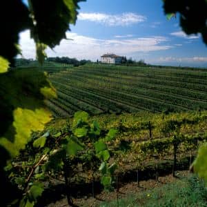 Riviera Resort Hotel Lignano   Colline Friulane